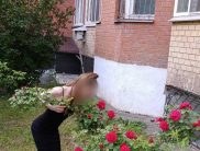 Софи