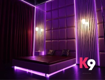 К9