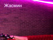 Жасмин