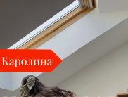 Каролина