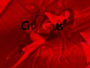 City Сats