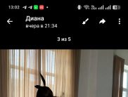 Алёна