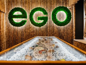 EGO Studio