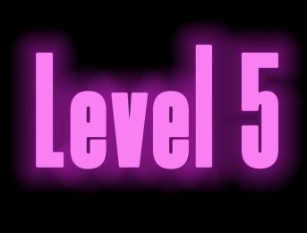 Level 5